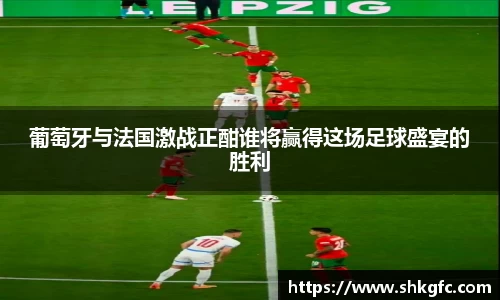 伟德葡萄牙与法国激战正酣谁将赢得这场足球盛宴的胜利